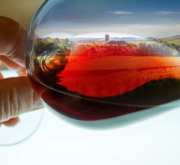 bar à vins à Villebarou près de Blois dans le Loir-et-Cher 41